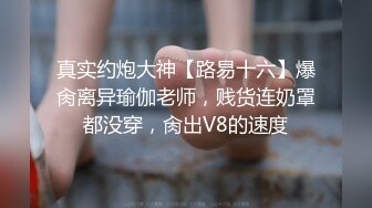 维奥莱特和她的男朋友正在做爱，这时他突然被叫去上班。当男友的室友走进来时，她开始高兴起来。经过一场尴