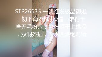 -20480330柳岩