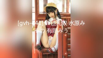 [gvh-441] W巨乳奴 水原みその 有岡みう