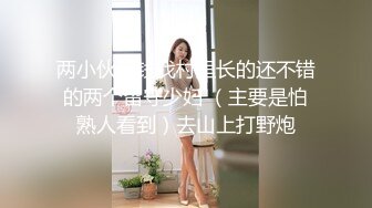    [中文字幕] ALDN-265 我無法辭掉公司的理由 夏川步美