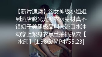 小母狗找公猫