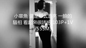 【飞机杯盲测】Gay版无间道,卧底与罪犯爱恨情仇