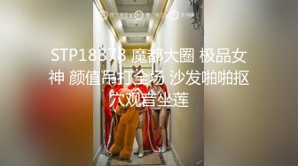 【AI换脸】白鹿 李沁 刘亦菲 杨超越 张天爱 陈钰琪 黄圣依