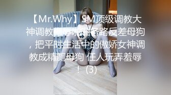 【Mr.Why】SM顶级调教大神调教侮辱啪啪各路反差母狗，把平时生活中的傲娇女神调教成精厕母狗 任人玩弄羞辱！ (3)