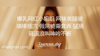 漂亮丰满美少妇