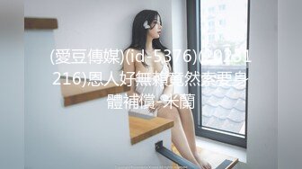 天美传媒TM0111美少妇的哀羞3-伊琬琳 沈总的贴身秘书