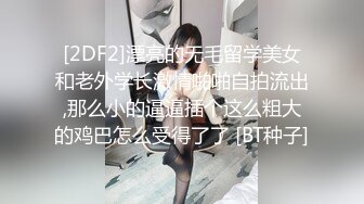 精品绝美尤物性感妖娆身姿 夏西 黑色旗袍与现代性感产物蕾丝吊袜 雪白娇柔肌肤媚态诱人