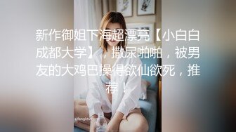 乘风破浪的女优 下 AV完整版