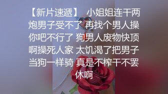 Al&mdash;刘诗诗 家政少妇