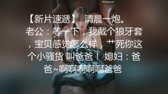 网友，女仆