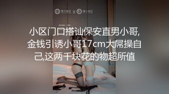 蜜桃传媒PMC256忍不住迷奸年轻小妈【水印】