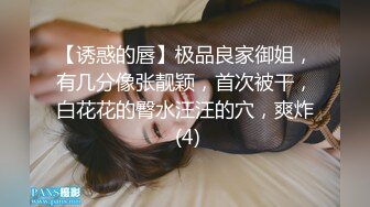 《新流✅劲爆重磅✅资源》万人求档OnlyFans网红男女通吃SM调_教御姐maya女王订阅私拍绳缚 虐_乳 拘束 强制高潮 鞭打 (9)