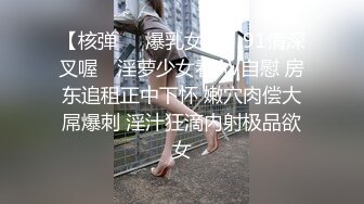 激情背入式