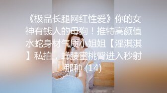 《极品长腿网红性爱》你的女神有钱人的母狗！推特高颜值水蛇身材气质小姐姐【淫淇淇】私拍，蜂腰蜜桃臀进入秒射那种 (14)