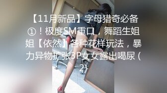 双马尾老婆