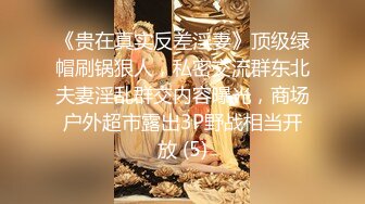 帅气夫夫宾馆打炮拍视频赚外快 下集