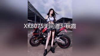 XK8075无间道3-秋霞