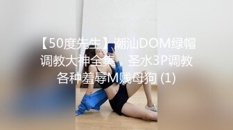 超火COS网红钛合金大奶美R黑白贞德美图写真