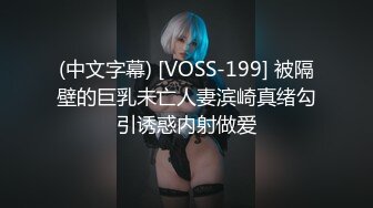 (中文字幕) [VOSS-199] 被隔壁的巨乳未亡人妻滨崎真绪勾引诱惑内射做爱