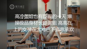 密友.第四十集.精东影业