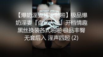 【爆奶淫妻顶级啪啪】极品爆奶淫妻『盘丝大仙』开档情趣黑丝换装各式啪啪 极品丰臀无套后入 淫声四起 (2)