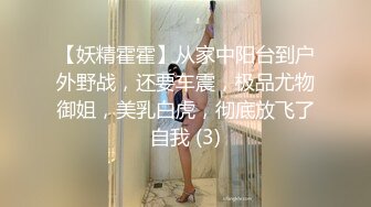 【妖精霍霍】从家中阳台到户外野战，还要车震，极品尤物御姐，美乳白虎，彻底放飞了自我 (3)