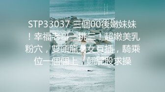 私房大神老虎菜原创最新第23弹 今天遇到玩JB的高手做销售的少妇