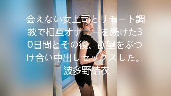 会えない女上司とリモート調教で相互オナニーを続けた30日間とその後、欲望をぶつけ合い中出しセックスした。 波多野結衣