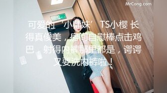 巨乳女仆跪着等主人回来采补