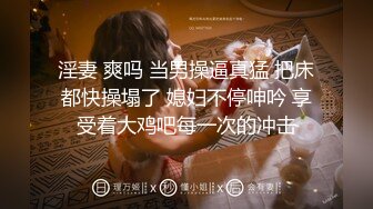 成都少妇系列