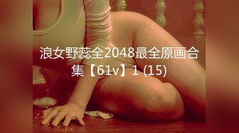 浪女野蕊全2048最全原画合集【61v】1 (15)