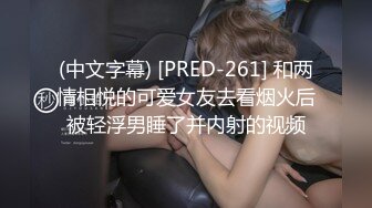 网红脸长腿大学生美少女被土豪包养，满足金主爸爸要求日常各种淫荡自拍，母狗属性拉满 (2)