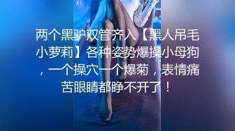 推特网红尤物欲子姐姐【小蔡头喵喵】定制流出《青色旗袍》高潮乳颤