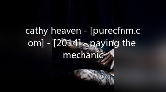 cathy heaven - [purecfnm.com] - [2014] - paying the mechanic