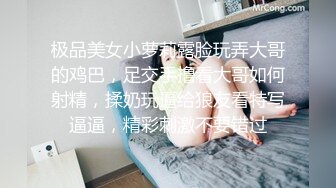 完整版看，巨乳小母狗无套口交