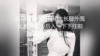 小马寻花约包臀裙大长腿外围女,翘起屁股后入一下下往前顶站立后入啊啊直叫