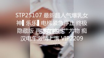 STP25107 最新超人气爆乳女神▌乐乐▌电梯紧急停止 终极隐藏版 再遇女神爆艹尤物 痴汉电车激情上演 VIP2209